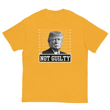 Cargar imagen en el visor de la galería, TRUMP NOT GUILTY Unisex tee