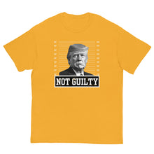 Load image into Gallery viewer, TRUMP NOT GUILTY Unisex tee
